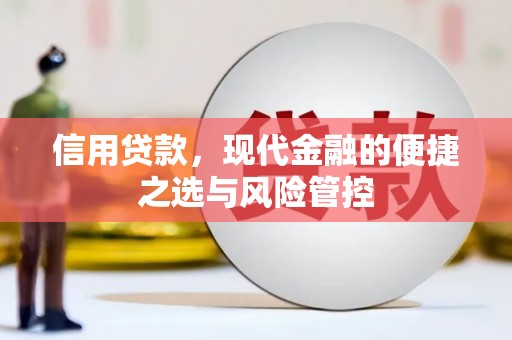 安乡信用贷款，现代金融的便捷之选与风险管控