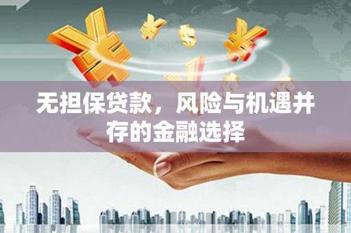 安乡无担保贷款，风险与机遇并存的金融选择