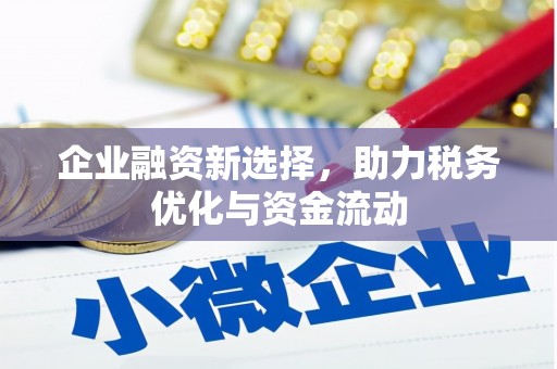 安乡企业融资新选择，助力税务优化与资金流动