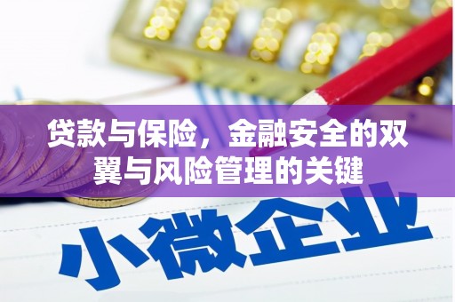 安乡贷款与保险，金融安全的双翼与风险管理的关键