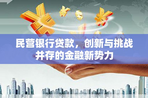 安乡民营银行贷款，创新与挑战并存的金融新势力