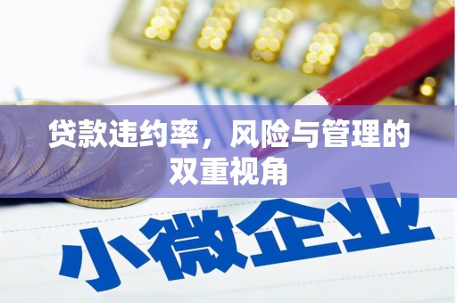 安乡贷款违约率，风险与管理的双重视角