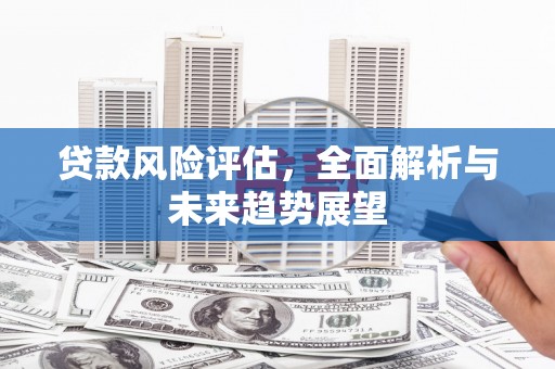 安乡贷款风险评估，全面解析与未来趋势展望