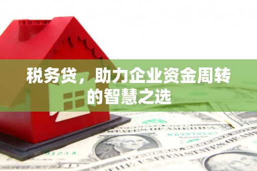 安乡税务贷，助力企业资金周转的智慧之选