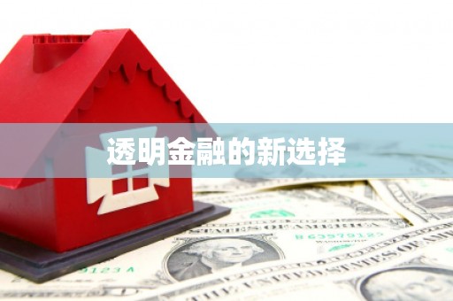 安乡透明金融的新选择