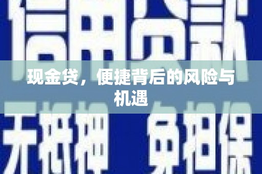 安乡现金贷，便捷背后的风险与机遇