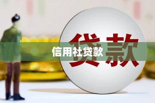 安乡信用社贷款