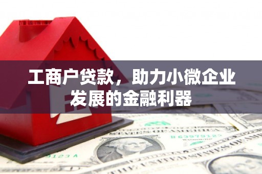安乡工商户贷款，助力小微企业发展的金融利器