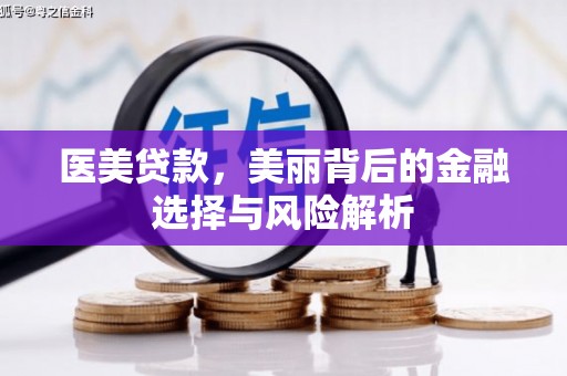 安乡医美贷款，美丽背后的金融选择与风险解析