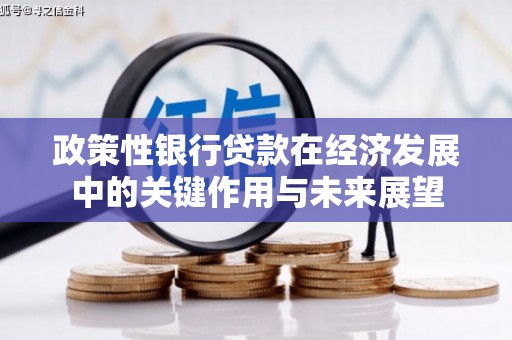 安乡政策性银行贷款在经济发展中的关键作用与未来展望