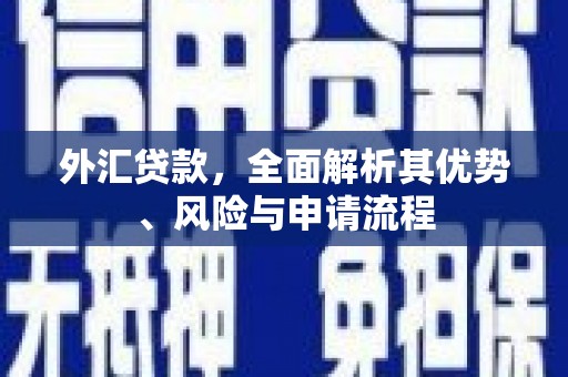 安乡外汇贷款，全面解析其优势、风险与申请流程