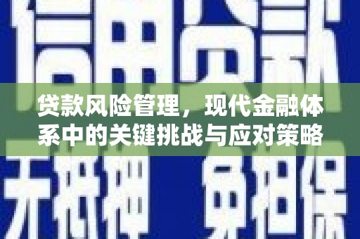 安乡贷款风险管理，现代金融体系中的关键挑战与应对策略