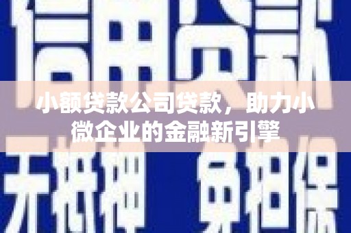 安乡小额贷款公司贷款，助力小微企业的金融新引擎