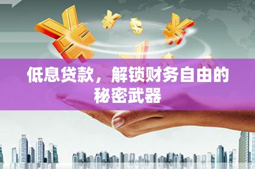 安乡低息贷款，解锁财务自由的秘密武器