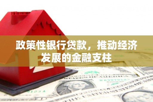 安乡政策性银行贷款，推动经济发展的金融支柱