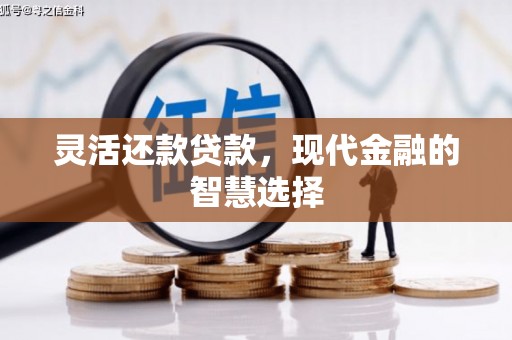 安乡灵活还款贷款，现代金融的智慧选择