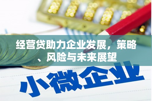 安乡经营贷助力企业发展，策略、风险与未来展望