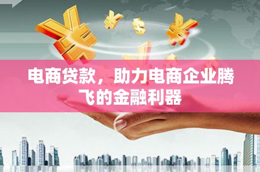 安乡电商贷款，助力电商企业腾飞的金融利器