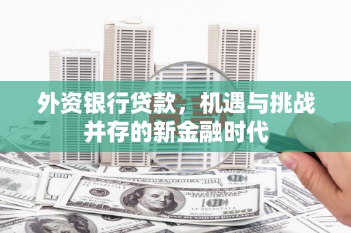 安乡外资银行贷款，机遇与挑战并存的新金融时代