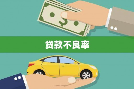 安乡贷款不良率