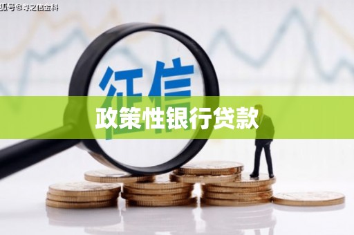 安乡政策性银行贷款