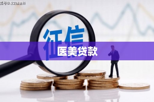 安乡医美贷款