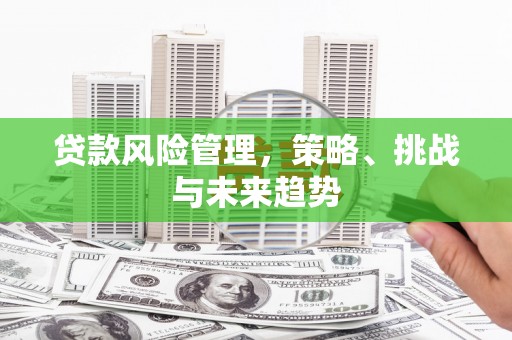安乡贷款风险管理，策略、挑战与未来趋势