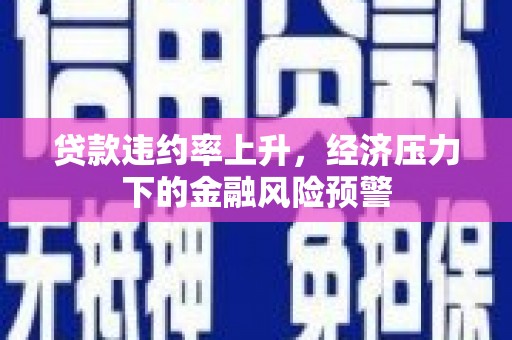 安乡贷款违约率上升，经济压力下的金融风险预警