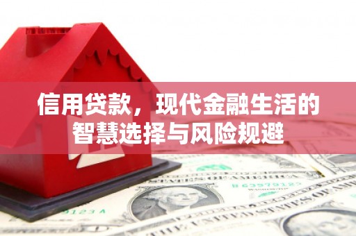 安乡信用贷款，现代金融生活的智慧选择与风险规避