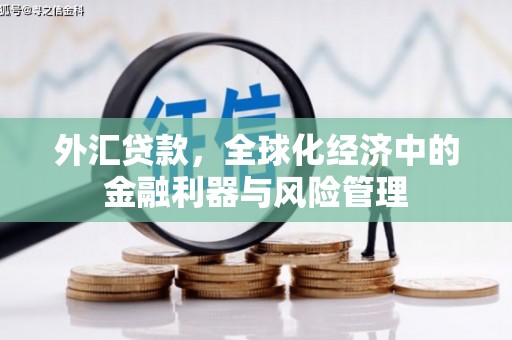 安乡外汇贷款，全球化经济中的金融利器与风险管理