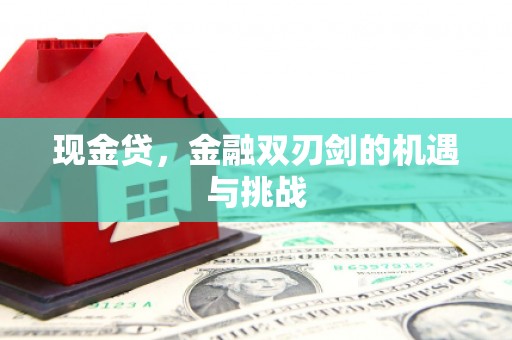 安乡现金贷，金融双刃剑的机遇与挑战