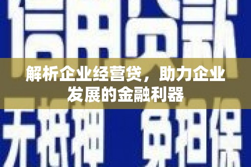 安乡解析企业经营贷，助力企业发展的金融利器