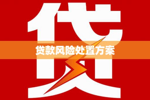 安乡贷款风险处置方案