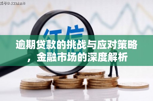 安乡逾期贷款的挑战与应对策略，金融市场的深度解析