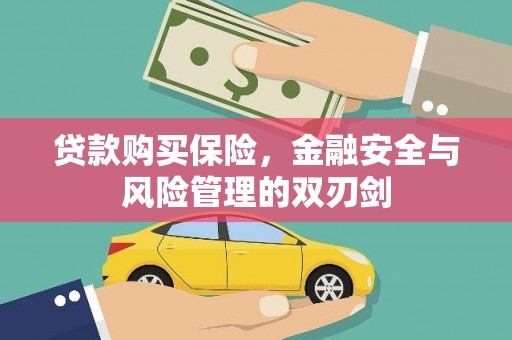 安乡贷款购买保险，金融安全与风险管理的双刃剑