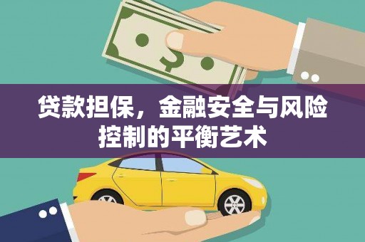 安乡贷款担保，金融安全与风险控制的平衡艺术