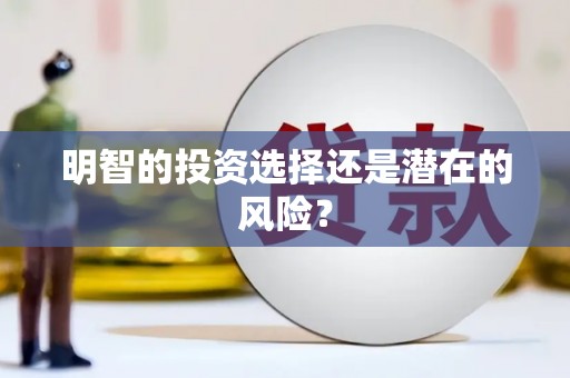 安乡明智的投资选择还是潜在的风险？