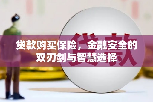 安乡贷款购买保险，金融安全的双刃剑与智慧选择