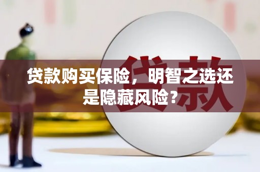 安乡贷款购买保险，明智之选还是隐藏风险？
