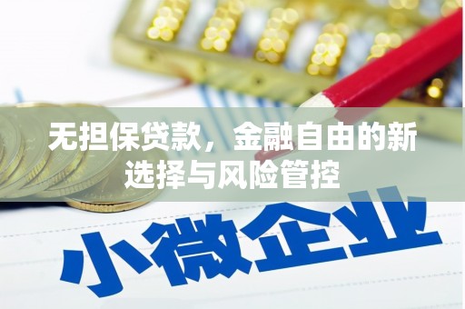 安乡无担保贷款，金融自由的新选择与风险管控