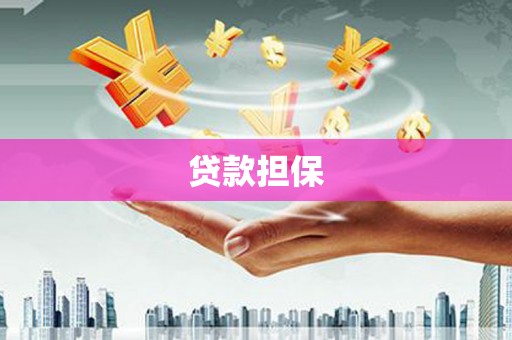 安乡贷款担保