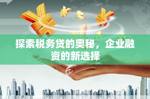 安乡探索税务贷的奥秘，企业融资的新选择