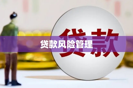 安乡贷款风险管理