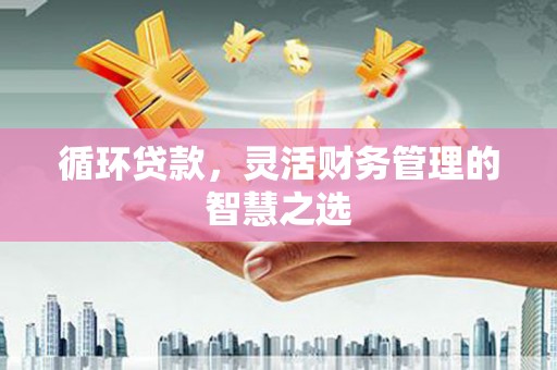 安乡循环贷款，灵活财务管理的智慧之选