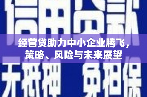 安乡经营贷助力中小企业腾飞，策略、风险与未来展望