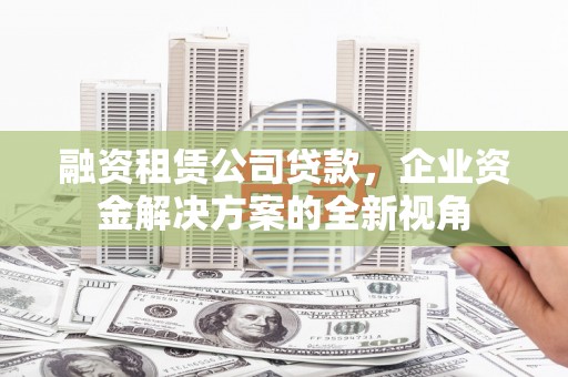 安乡融资租赁公司贷款，企业资金解决方案的全新视角