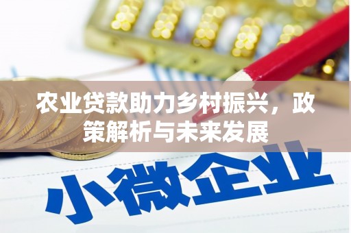 安乡农业贷款助力乡村振兴，政策解析与未来发展