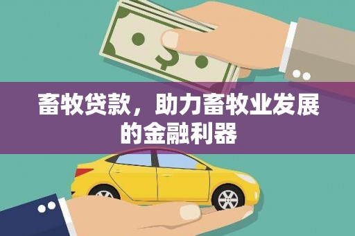 安乡畜牧贷款，助力畜牧业发展的金融利器