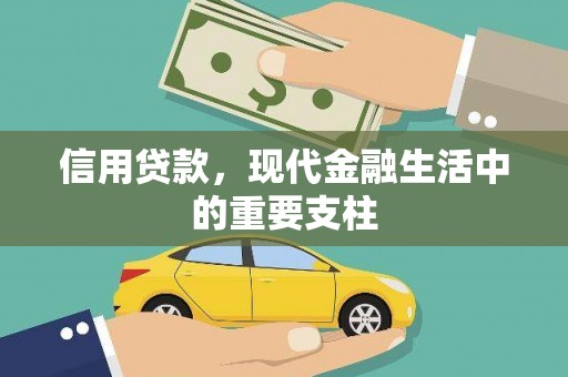 安乡信用贷款，现代金融生活中的重要支柱