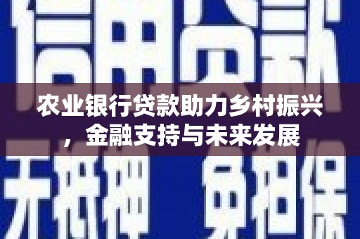 安乡农业银行贷款助力乡村振兴，金融支持与未来发展